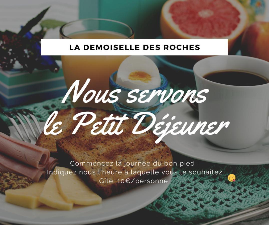 Demoiselle Des Roches Lägenhet Ramonchamp Exteriör bild