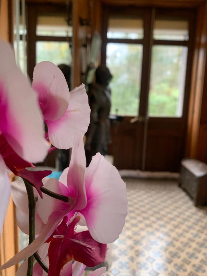 Demoiselle Des Roches Lägenhet Ramonchamp Exteriör bild
