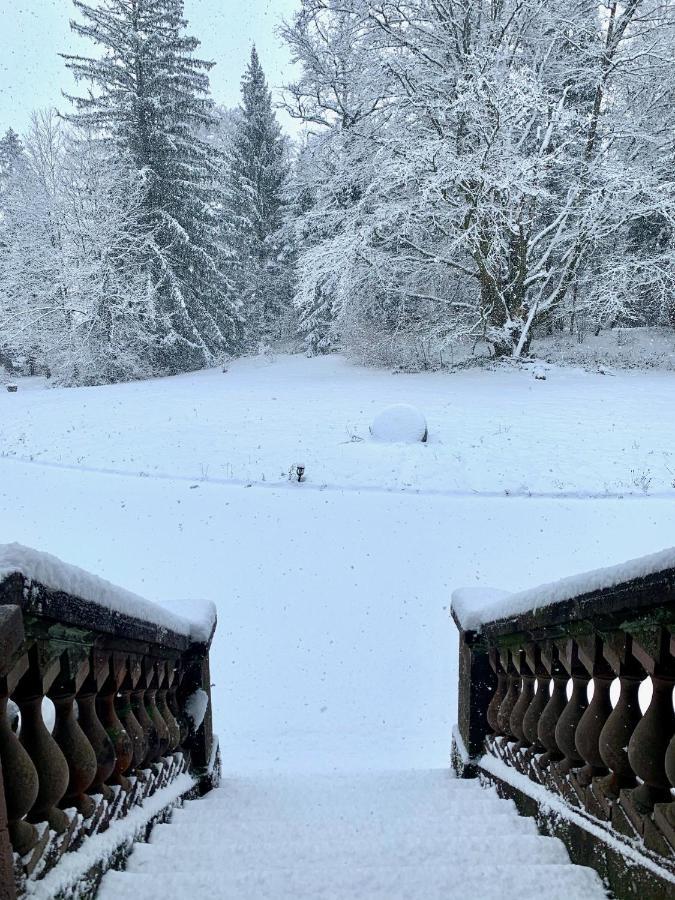 Demoiselle Des Roches Lägenhet Ramonchamp Exteriör bild