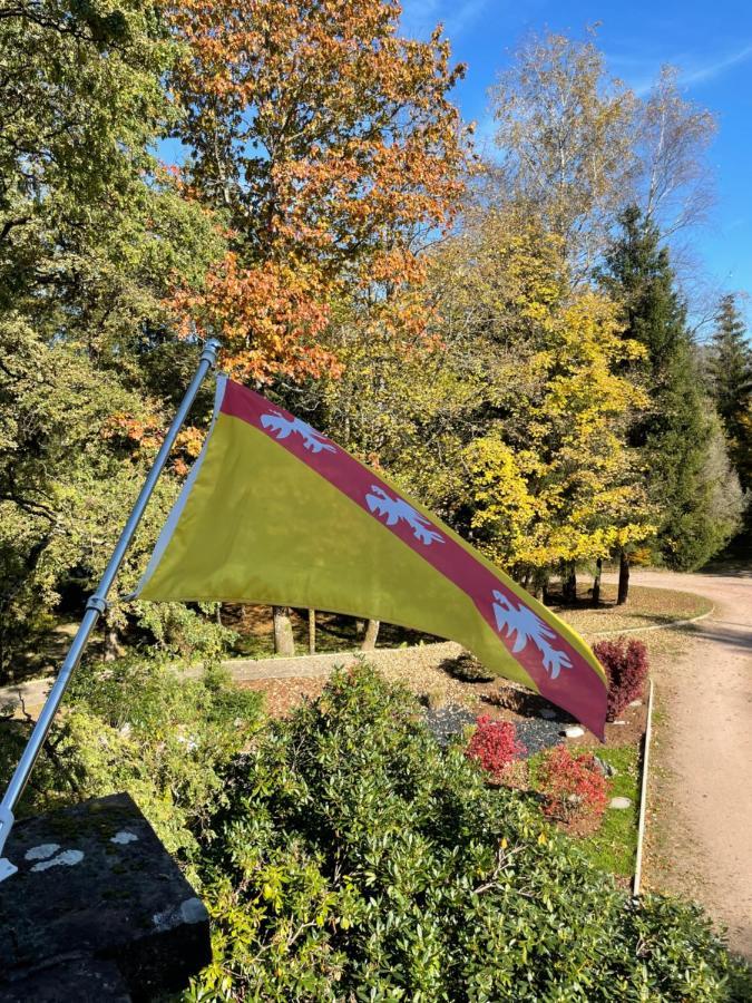 Demoiselle Des Roches Lägenhet Ramonchamp Exteriör bild